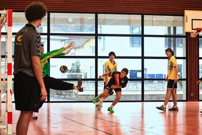 handball-6766238_1280.jpg