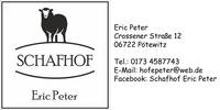 logo_flyer_e._peter.jpg logo_flyer_e._peter.jpg