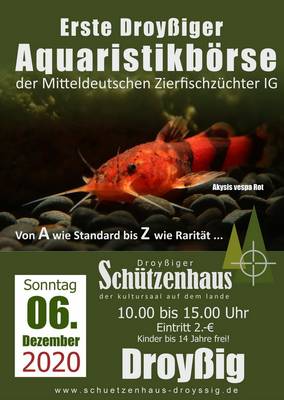 A4_aquaristikboerse_2-2020.jpg