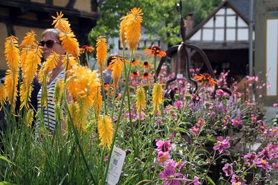 farmers-market-3397723_1280.jpg