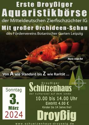 boerse_01_2024A.jpg