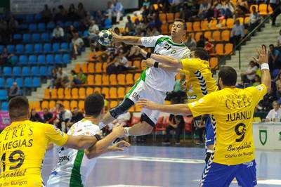 sports-2102965_1280.jpg