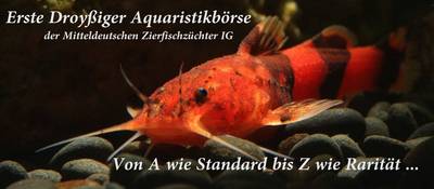 Aquaristikbörse.jpg
