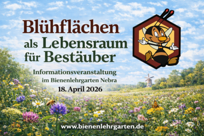 blühflächen.png