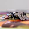 key 2719336 1280