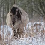 IMG_8766.jpg.jpg &copy;Andreas Nowack