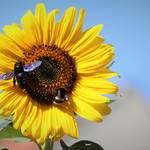 IMG_864fgh6 (276).jpg &copy;Andreas Nowack