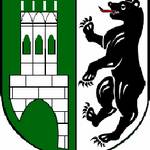 Wappen Droyßig