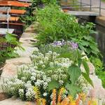 Café zum Esel - Wetterzeube ©Saale-Unstrut-Tourismus