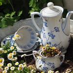 Café zum Esel - Wetterzeube ©Saale-Unstrut-Tourismus