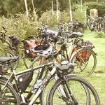 Grünes Dreieck 2 ©@dorit-bornkessel.de Grünes Dreieck 2 ©@dorit-bornkessel.de