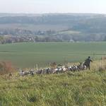 Schäferei Peter 4 ©@schafhof peter Schäferei Peter 4 ©@schafhof peter