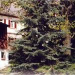 004_buergerhaus_gladitz.jpg