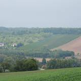 Blick zur Bischofsleite Wetterzeube.JPG