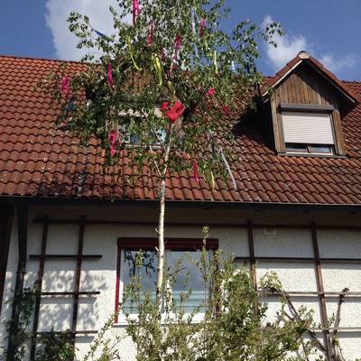 maypole-ga9e2e3b23_1920