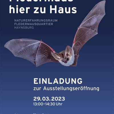 https://www.vgem-dzf.de/var/cache/thumb_43929_1236_1_400_400_r4_jpeg_fledermaus.jpeg