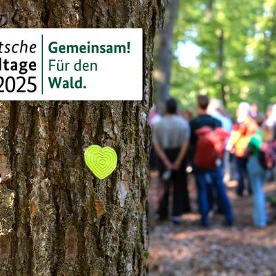 Deutsche Waldtage 2025