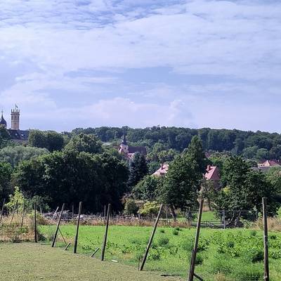 Droyßig