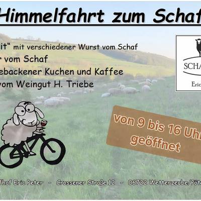 https://www.vgem-dzf.de/var/cache/thumb_63254_1236_1_400_400_r4_jpeg_schafhof_himmelfahrt.jpeg